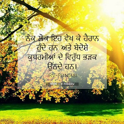 Picture 07 - ਅੱਯੂਬ 17:8 PANIRV - ਨੇਕ ਲੋਕ ਇਹ ਵੇਖ ਕੇ - Bible Verse Picture