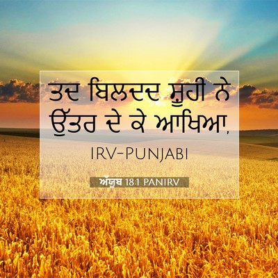 Picture 07 - ਅੱਯੂਬ 18:1 PANIRV - ਤਦ ਬਿਲਦਦ ਸ਼ੂਹੀ ਨੇ - Bible Verse Picture