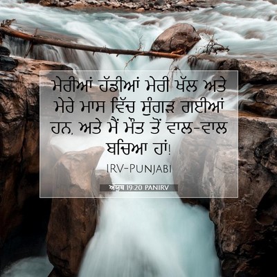 Picture 07 - ਅੱਯੂਬ 19:20 PANIRV - ਮੇਰੀਆਂ ਹੱਡੀਆਂ - Bible Verse Picture