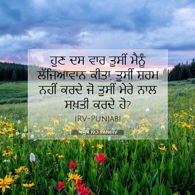 Picture 07 - ਅੱਯੂਬ 19:3 PANIRV - ਹੁਣ ਦਸ ਵਾਰ ਤੁਸੀਂ - Bible Verse Picture