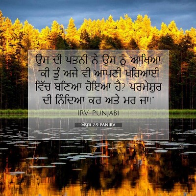 Picture 07 - ਅੱਯੂਬ 2:9 PANIRV - ਉਸ ਦੀ ਪਤਨੀ ਨੇ ਉਸ - Bible Verse Picture