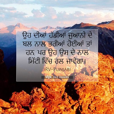 Picture 07 - ਅੱਯੂਬ 20:11 PANIRV - ਉਹ ਦੀਆਂ ਹੱਡੀਆਂ - Bible Verse Picture