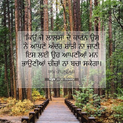Picture 07 - ਅੱਯੂਬ 20:20 PANIRV - “ਕਿਉਂ ਜੋ ਲਾਲਸਾ ਦੇ - Bible Verse Picture