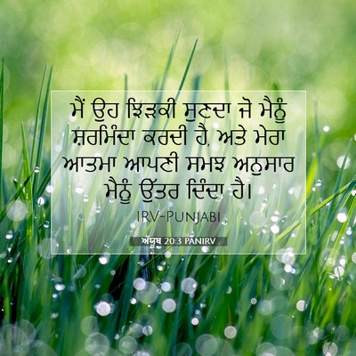 Picture 07 - ਅੱਯੂਬ 20:3 PANIRV - ਮੈਂ ਉਹ ਝਿੜਕੀ ਸੁਣਦਾ - Bible Verse Picture