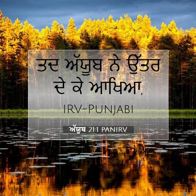Picture 07 - ਅੱਯੂਬ 21:1 PANIRV - ਤਦ ਅੱਯੂਬ ਨੇ ਉੱਤਰ ਦੇ - Bible Verse Picture