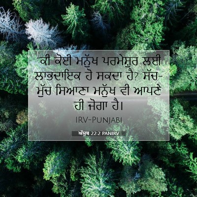 Picture 07 - ਅੱਯੂਬ 22:2 PANIRV - “ਕੀ ਕੋਈ ਮਨੁੱਖ - Bible Verse Picture