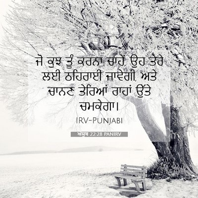 Picture 07 - ਅੱਯੂਬ 22:28 PANIRV - ਜੋ ਕੁਝ ਤੂੰ ਕਰਨਾ - Bible Verse Picture