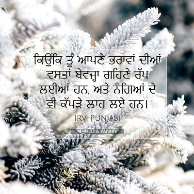 Picture 07 - ਅੱਯੂਬ 22:6 PANIRV - ਕਿਉਂਕਿ ਤੂੰ ਆਪਣੇ - Bible Verse Picture