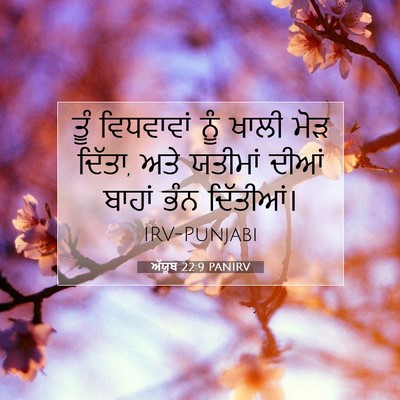 Picture 07 - ਅੱਯੂਬ 22:9 PANIRV - ਤੂੰ ਵਿਧਵਾਵਾਂ ਨੂੰ - Bible Verse Picture