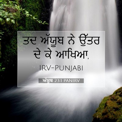 Picture 07 - ਅੱਯੂਬ 23:1 PANIRV - ਤਦ ਅੱਯੂਬ ਨੇ ਉੱਤਰ ਦੇ - Bible Verse Picture