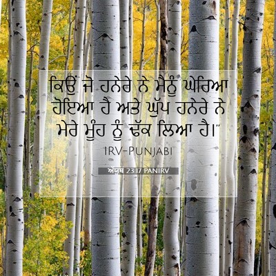 Picture 07 - ਅੱਯੂਬ 23:17 PANIRV - ਕਿਉਂ ਜੋ ਹਨੇਰੇ ਨੇ - Bible Verse Picture