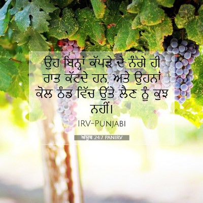 Picture 07 - ਅੱਯੂਬ 24:7 PANIRV - ਉਹ ਬਿਨ੍ਹਾਂ ਕੱਪੜੇ - Bible Verse Picture