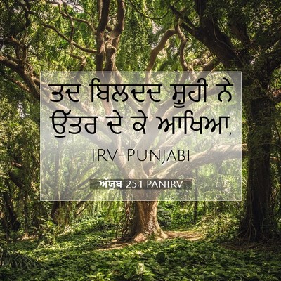 Picture 07 - ਅੱਯੂਬ 25:1 PANIRV - ਤਦ ਬਿਲਦਦ ਸ਼ੂਹੀ ਨੇ - Bible Verse Picture