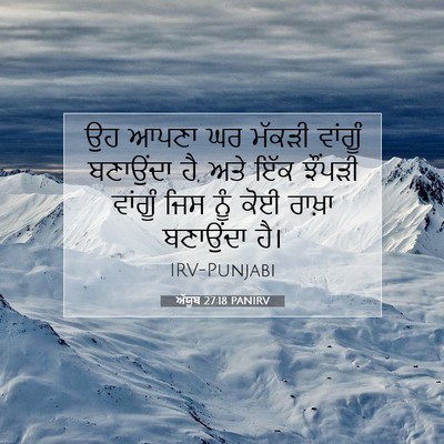 Picture 07 - ਅੱਯੂਬ 27:18 PANIRV - ਉਹ ਆਪਣਾ ਘਰ ਮੱਕੜੀ - Bible Verse Picture