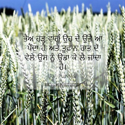 Picture 07 - ਅੱਯੂਬ 27:20 PANIRV - ਭੈਅ ਹੜ੍ਹ ਵਾਂਗੂੰ ਉਹ - Bible Verse Picture