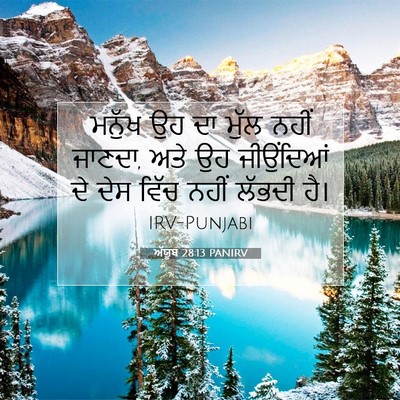 Picture 07 - ਅੱਯੂਬ 28:13 PANIRV - ਮਨੁੱਖ ਉਹ ਦਾ ਮੁੱਲ - Bible Verse Picture
