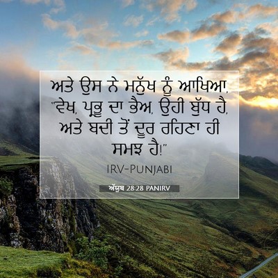 Picture 07 - ਅੱਯੂਬ 28:28 PANIRV - ਅਤੇ ਉਸ ਨੇ ਮਨੁੱਖ ਨੂੰ - Bible Verse Picture
