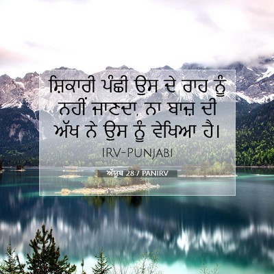 Picture 07 - ਅੱਯੂਬ 28:7 PANIRV - ਸ਼ਿਕਾਰੀ ਪੰਛੀ ਉਸ ਦੇ - Bible Verse Picture