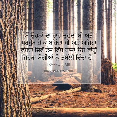 Picture 07 - ਅੱਯੂਬ 29:25 PANIRV - ਮੈਂ ਉਹਨਾਂ ਦਾ ਰਾਹ - Bible Verse Picture