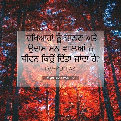 Picture 07 - ਅੱਯੂਬ 3:20 PANIRV - “ਦੁਖਿਆਰਾਂ ਨੂੰ - Bible Verse Picture