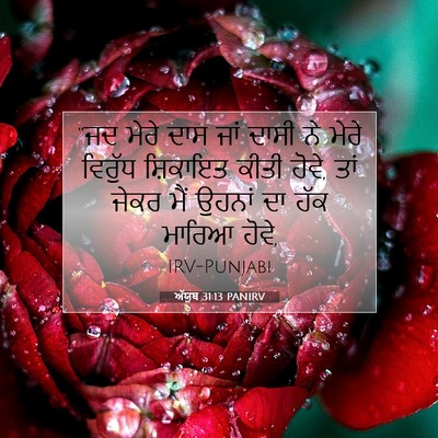 Picture 07 - ਅੱਯੂਬ 31:13 PANIRV - “ਜਦ ਮੇਰੇ ਦਾਸ ਜਾਂ - Bible Verse Picture