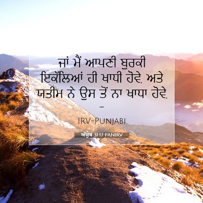Picture 07 - ਅੱਯੂਬ 31:17 PANIRV - ਜਾਂ ਮੈਂ ਆਪਣੀ ਬੁਰਕੀ - Bible Verse Picture