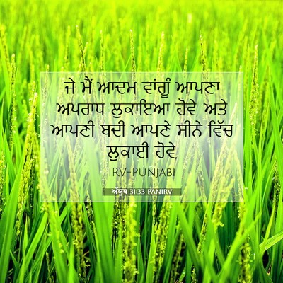 Picture 07 - ਅੱਯੂਬ 31:33 PANIRV - ਜੇ ਮੈਂ ਆਦਮ ਵਾਂਗੂੰ - Bible Verse Picture