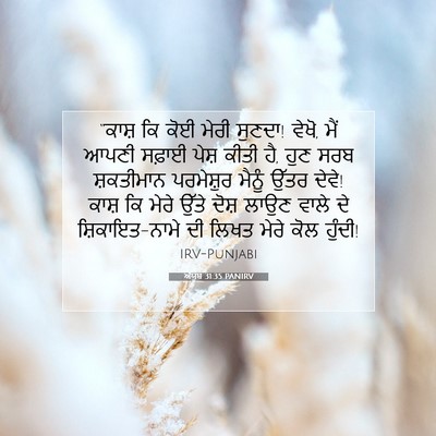 Picture 07 - ਅੱਯੂਬ 31:35 PANIRV - “ਕਾਸ਼ ਕਿ ਕੋਈ ਮੇਰੀ - Bible Verse Picture