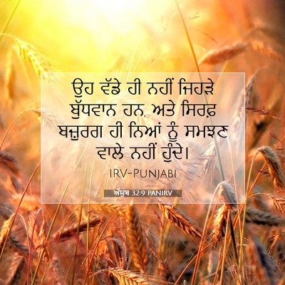 Picture 07 - ਅੱਯੂਬ 32:9 PANIRV - ਉਹ ਵੱਡੇ ਹੀ ਨਹੀਂ - Bible Verse Picture