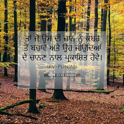 Picture 07 - ਅੱਯੂਬ 33:30 PANIRV - ਤਾਂ ਜੋ ਉਸ ਦੀ ਜਾਨ - Bible Verse Picture