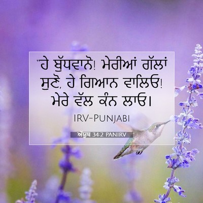 Picture 07 - ਅੱਯੂਬ 34:2 PANIRV - “ਹੇ ਬੁੱਧਵਾਨੋ! - Bible Verse Picture