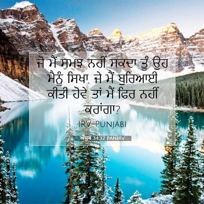 Picture 07 - ਅੱਯੂਬ 34:32 PANIRV - ਜੋ ਮੈਂ ਸਮਝ ਨਹੀਂ - Bible Verse Picture