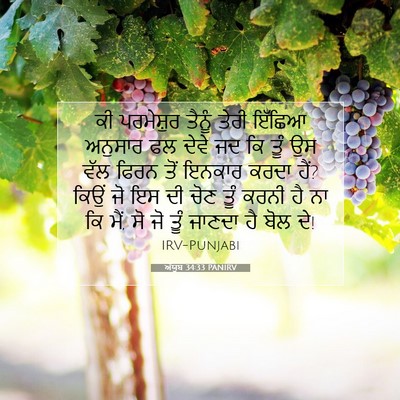 Picture 07 - ਅੱਯੂਬ 34:33 PANIRV - ਕੀ ਪਰਮੇਸ਼ੁਰ ਤੈਨੂੰ - Bible Verse Picture