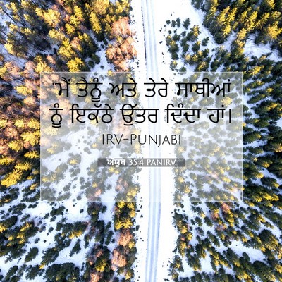 Picture 07 - ਅੱਯੂਬ 35:4 PANIRV - “ਮੈਂ ਤੈਨੂੰ ਅਤੇ - Bible Verse Picture