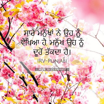 Picture 07 - ਅੱਯੂਬ 36:25 PANIRV - ਸਾਰੇ ਮਨੁੱਖਾਂ ਨੇ ਉਹ - Bible Verse Picture
