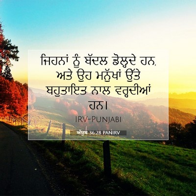 Picture 07 - ਅੱਯੂਬ 36:28 PANIRV - ਜਿਹਨਾਂ ਨੂੰ ਬੱਦਲ - Bible Verse Picture