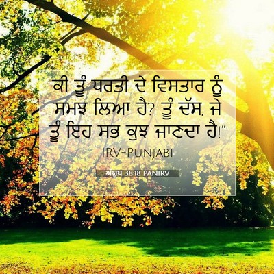 Picture 07 - ਅੱਯੂਬ 38:18 PANIRV - ਕੀ ਤੂੰ ਧਰਤੀ ਦੇ - Bible Verse Picture