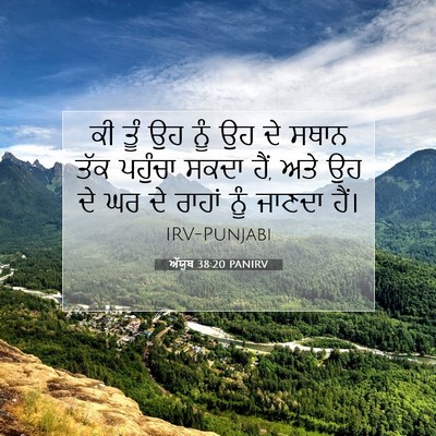 Picture 07 - ਅੱਯੂਬ 38:20 PANIRV - ਕੀ ਤੂੰ ਉਹ ਨੂੰ ਉਹ ਦੇ - Bible Verse Picture