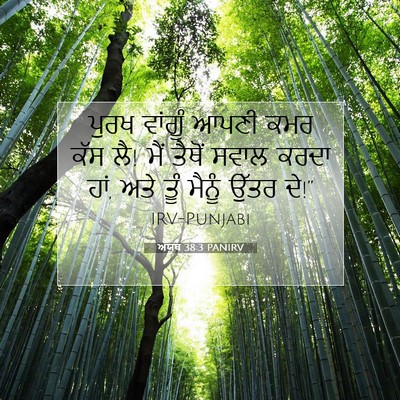 Picture 07 - ਅੱਯੂਬ 38:3 PANIRV - ਪੁਰਖ ਵਾਂਗੂੰ ਆਪਣੀ - Bible Verse Picture