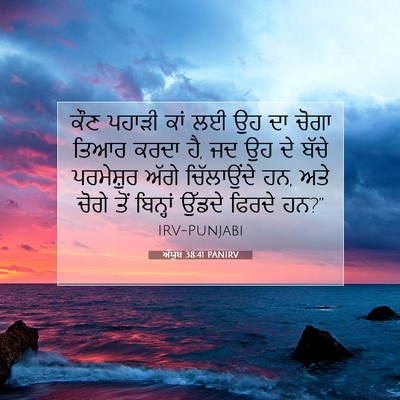 Picture 07 - ਅੱਯੂਬ 38:41 PANIRV - ਕੌਣ ਪਹਾੜੀ ਕਾਂ ਲਈ ਉਹ - Bible Verse Picture