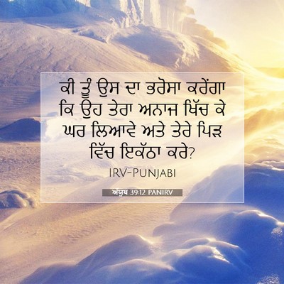 Picture 07 - ਅੱਯੂਬ 39:12 PANIRV - ਕੀ ਤੂੰ ਉਸ ਦਾ ਭਰੋਸਾ - Bible Verse Picture