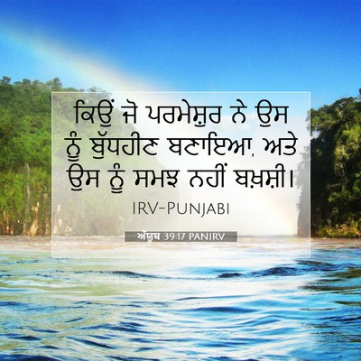 Picture 07 - ਅੱਯੂਬ 39:17 PANIRV - ਕਿਉਂ ਜੋ ਪਰਮੇਸ਼ੁਰ - Bible Verse Picture