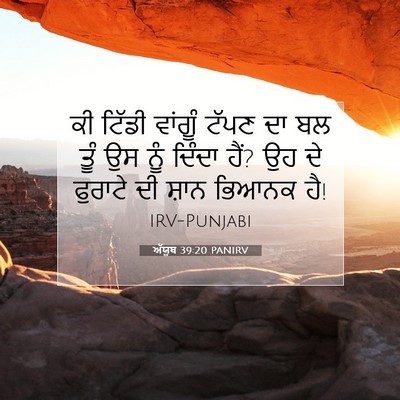 Picture 07 - ਅੱਯੂਬ 39:20 PANIRV - ਕੀ ਟਿੱਡੀ ਵਾਂਗੂੰ - Bible Verse Picture