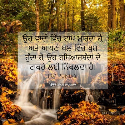 Picture 07 - ਅੱਯੂਬ 39:21 PANIRV - ਉਹ ਵਾਦੀ ਵਿੱਚ ਟਾਪ - Bible Verse Picture