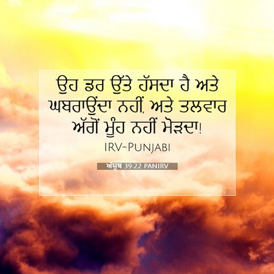Picture 07 - ਅੱਯੂਬ 39:22 PANIRV - ਉਹ ਡਰ ਉੱਤੇ ਹੱਸਦਾ ਹੈ - Bible Verse Picture