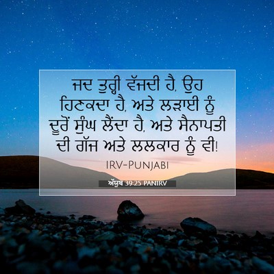 Picture 07 - ਅੱਯੂਬ 39:25 PANIRV - ਜਦ ਤੁਰ੍ਹੀ ਵੱਜਦੀ ਹੈ, - Bible Verse Picture