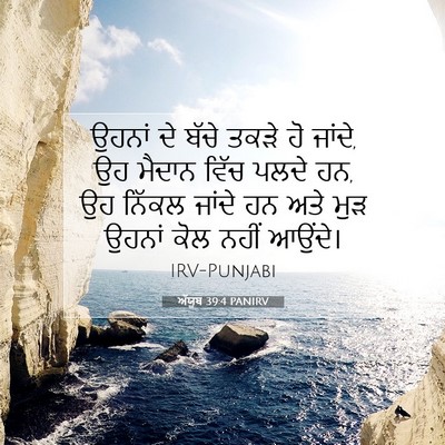 Picture 07 - ਅੱਯੂਬ 39:4 PANIRV - ਉਹਨਾਂ ਦੇ ਬੱਚੇ ਤਕੜੇ - Bible Verse Picture