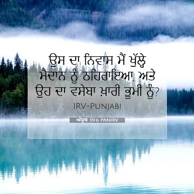 Picture 07 - ਅੱਯੂਬ 39:6 PANIRV - ਉਸ ਦਾ ਨਿਵਾਸ ਮੈਂ - Bible Verse Picture