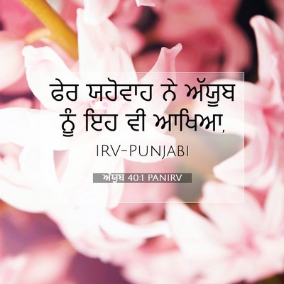 Picture 07 - ਅੱਯੂਬ 40:1 PANIRV - ਫੇਰ ਯਹੋਵਾਹ ਨੇ - Bible Verse Picture