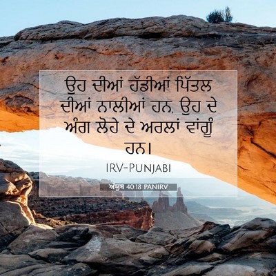 Picture 07 - ਅੱਯੂਬ 40:18 PANIRV - ਉਹ ਦੀਆਂ ਹੱਡੀਆਂ - Bible Verse Picture